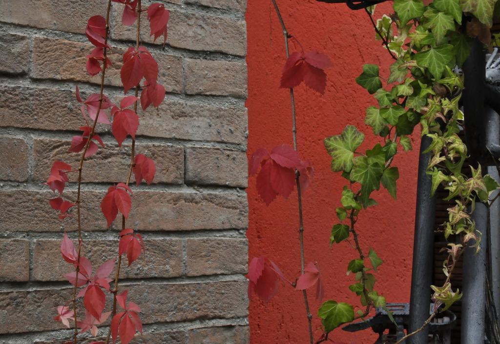 B&B Edera Castagnole Piemonte Ngoại thất bức ảnh