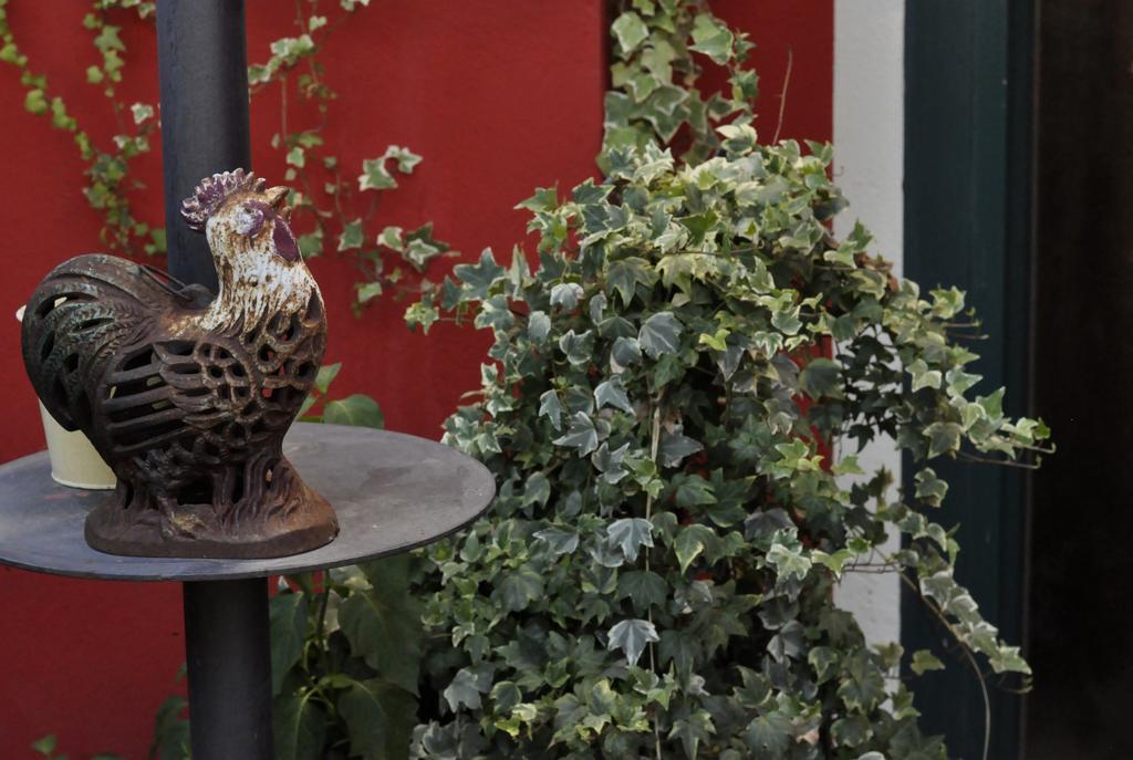 B&B Edera Castagnole Piemonte Ngoại thất bức ảnh